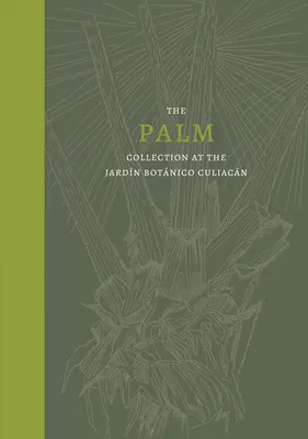 Palmierul: Colecția de palmieri de la Jardn Botnico Culiacn - Palm: The Palm Collection at the Jardn Botnico Culiacn