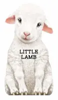 Micul miel - Little Lamb