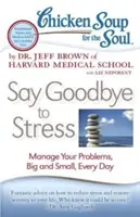 Supa de pui pentru suflet: Spune adio stresului: Gestionați-vă problemele, mari și mici, în fiecare zi - Chicken Soup for the Soul: Say Goodbye to Stress: Manage Your Problems, Big and Small, Every Day