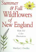 Summer & Fall Wildflowers of New England (Flori sălbatice de vară și toamnă din Noua Anglie) - Summer & Fall Wildflowers of New England