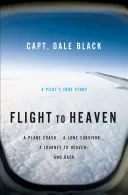 Zbor spre cer: Un accident de avion... un supraviețuitor singuratic... o călătorie spre Rai - și înapoi - Flight to Heaven: A Plane Crash...a Lone Survivor...a Journey to Heaven--And Back