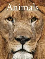 Animale - Animals