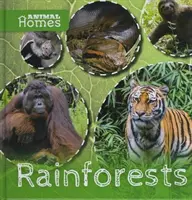 Pădurile tropicale - Rainforests