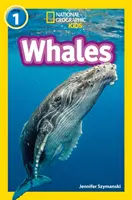 Balene - Nivelul 1 - Whales - Level 1