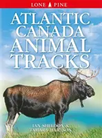 Urme de animale din Canada Atlantică - Atlantic Canada Animal Tracks