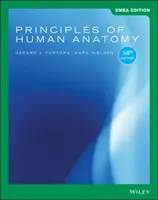 Principii de anatomie umană (Principles of Human Anatomy) - Principles of Human Anatomy