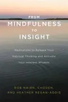 De la Mindfulness la Insight: Meditații pentru a-ți elibera gândirea obișnuită și a-ți activa înțelepciunea inerentă - From Mindfulness to Insight: Meditations to Release Your Habitual Thinking and Activate Your Inherent Wisdom