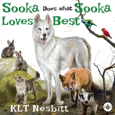 Sooka face ce-i place cel mai mult lui Sooka - Sooka Does What Sooka Loves Best