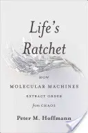 Clișeul vieții: Cum extrag mașinile moleculare ordinea din haos - Life's Ratchet: How Molecular Machines Extract Order from Chaos
