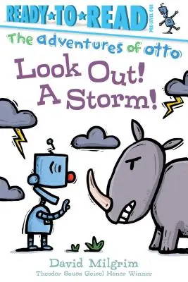 Atenție, o furtună! Ready-To-Read Pre-Level 1 - Look Out! a Storm!: Ready-To-Read Pre-Level 1