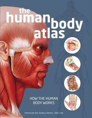 Atlasul corpului uman: Cum funcționează corpul uman - The Human Body Atlas: How the Human Body Works