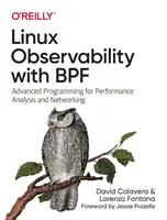 Observabilitatea Linux cu Bpf: Programare avansată pentru analiza performanței și crearea de rețele - Linux Observability with Bpf: Advanced Programming for Performance Analysis and Networking