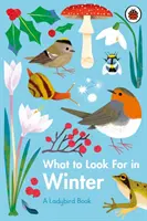 Ce să cauți iarna - What to Look For in Winter