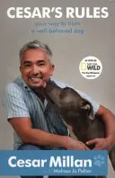 Regulile lui Cesar - Cesar's Rules