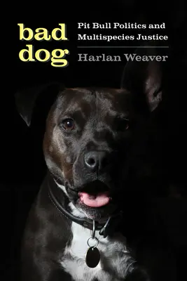 Bad Dog: Politica Pit Bull și justiția multispecifică - Bad Dog: Pit Bull Politics and Multispecies Justice