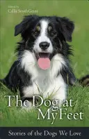Câinele de la picioarele mele: Povești ale câinilor pe care îi iubim - The Dog at My Feet: Stories of the Dogs We Love