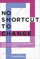 Nici o scurtătură către schimbare: O cale improbabilă către o lume mai echitabilă din punctul de vedere al egalității de gen - No Shortcut to Change: An Unlikely Path to a More Gender Equitable World