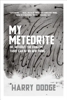 Meteoritul meu: Sau, fără aleatoriu nu poate exista nimic nou - My Meteorite: Or, Without the Random There Can Be No New Thing