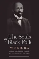 Sufletele oamenilor de culoare (The Souls of Black Folk) - The Souls of Black Folk