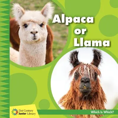 Alpaca sau Llama - Alpaca or Llama