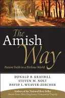 Calea Amish: Credința răbdătoare într-o lume periculoasă - The Amish Way: Patient Faith in a Perilous World