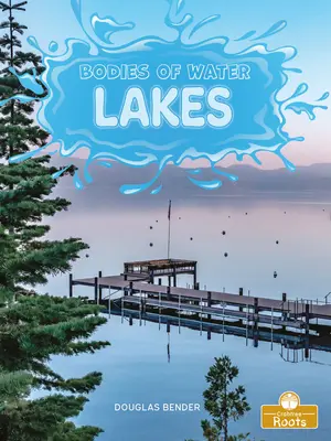 Lacuri - Lakes