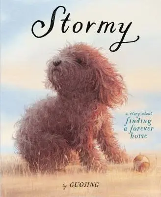 Stormy: O poveste despre găsirea unei case pentru totdeauna - Stormy: A Story about Finding a Forever Home
