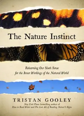 Instinctul naturii: Relearning Our Lost Intuition for the Inner Workings of the Natural World - The Nature Instinct: Relearning Our Lost Intuition for the Inner Workings of the Natural World