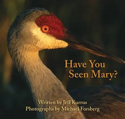 Ai văzut-o pe Mary? - Have You Seen Mary?