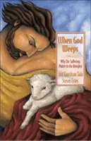 Când Dumnezeu plânge: De ce suferințele noastre sunt importante pentru Cel Atotputernic - When God Weeps: Why Our Sufferings Matter to the Almighty