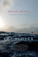 Plover - The Plover
