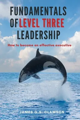 Fundamentele nivelului trei de leadership: Cum să devii un executiv eficient - Fundamentals of Level Three Leadership: How to Become an Effective Executive