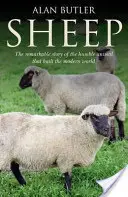 Oaie - Sheep