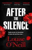 After the Silence - romanul polițist irlandez An Post al anului - After the Silence - The An Post Irish Crime Novel of the Year