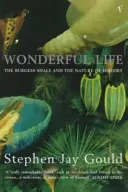 O viață minunată - Wonderful Life