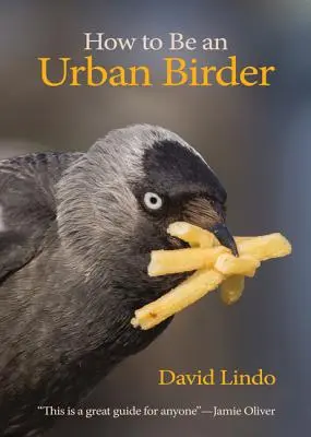 Cum să fii un observator urban de păsări - How to Be an Urban Birder