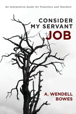 Consider My Servant Job: Un ghid interpretativ pentru predicatori și profesori - Consider My Servant Job: An Interpretive Guide for Preachers and Teachers