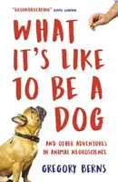 Cum e să fii câine - Și alte aventuri în neuroștiința animalelor - What It's Like to Be a Dog - And Other Adventures in Animal Neuroscience