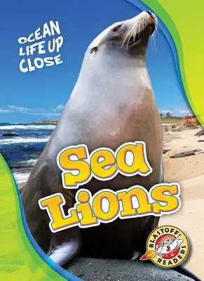 Leii de mare - Sea Lions