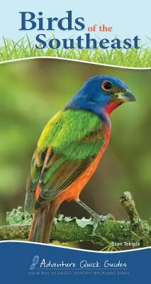 Păsările din sud-est: Calea ta de a identifica cu ușurință păsările din curtea casei - Birds of the Southeast: Your Way to Easily Identify Backyard Birds