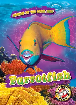 Pește papagal - Parrotfish