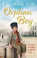 Băiatul orfan - Orphan Boy