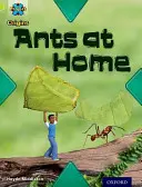 Project X Origins: Lime Book Band, Oxford Level 11: Underground: Furnicile la ele acasă - Project X Origins: Lime Book Band, Oxford Level 11: Underground: Ants at Home