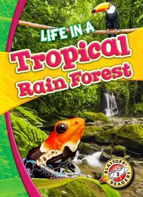 Viața într-o pădure tropicală - Life in a Tropical Rain Forest