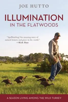 Illumination in the Flatwoods: Un sezon trăit printre curcanii sălbatici - Illumination in the Flatwoods: A Season Living Among the Wild Turkey