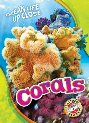 Corali - Corals