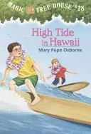 Mareea mare în Hawaii - High Tide in Hawaii