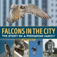 Șoimii în oraș: Povestea unei familii Peregine - Falcons in the City: The Story of a Peregine Family