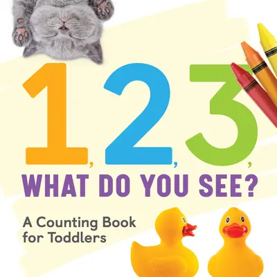 1, 2, 3, What Do You See? O carte de numărat pentru copii mici - 1, 2, 3, What Do You See?: A Counting Book for Toddlers