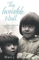 Zidul invizibil - Invisible Wall